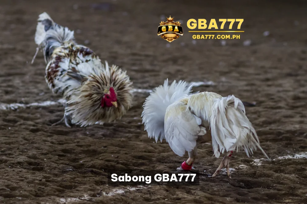 Sabong GBA777